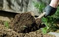 Как подготовить огород к зиме: осенние процедуры для плодородной почвы