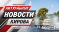 В Кирове пройдёт акция «Миска добра» для помощи бездомным животным