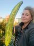 #кактамусоседей. Жительница г. Чайковский (Пермский край) похвасталась выращенным огурцом-гигантом