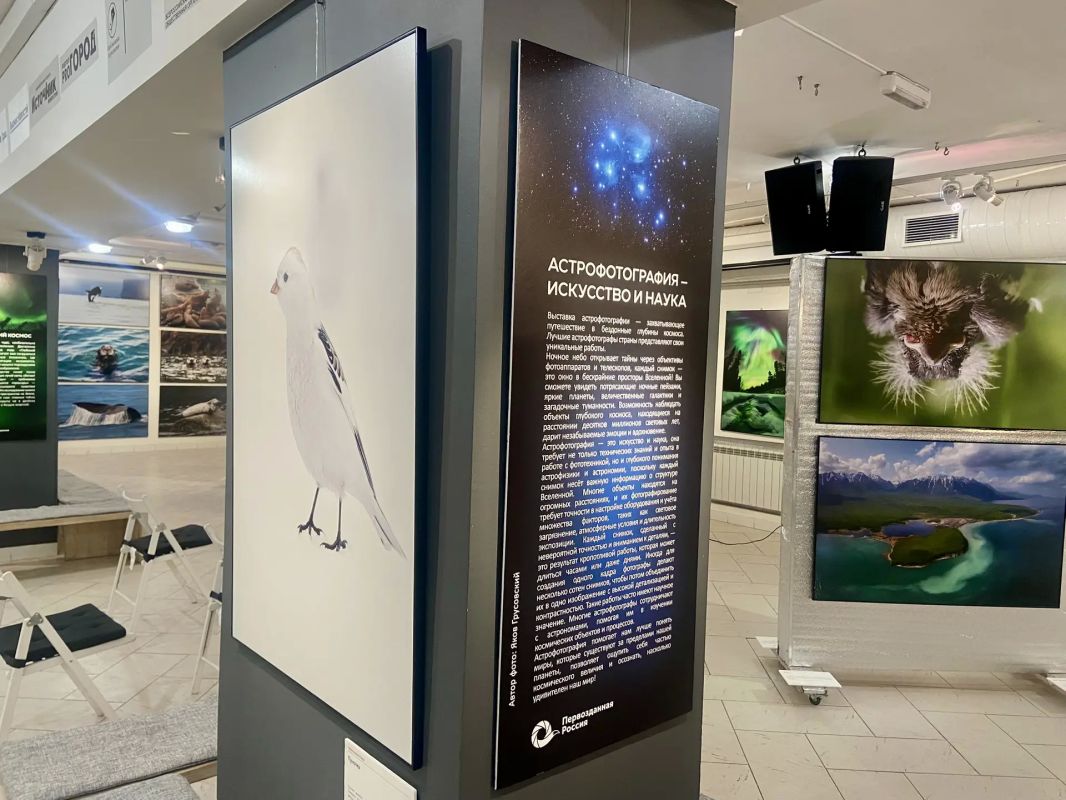 В Кирове открылась выставка «Первозданная Россия» В Кирове открылась выставка «Первозданная Россия»