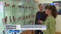 В библиотеке имени Грина открылась персональная выставка мастера деревянной скульптуры Александра Чернядьева "Магия дерева"