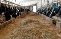 Фермеры региона получат грант «Агромотиватор» в 7 млн рублей