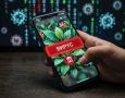 Кировчанка установила приложение для растений и лишилась денег