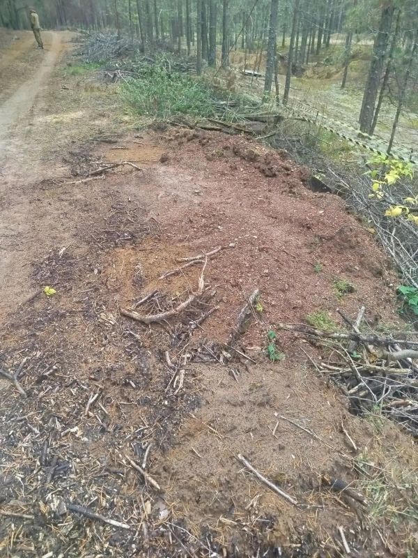 В Кировской области ликвидированы пять несанкционированных свалок на землях лесного фонда В Кировской области ликвидированы пять несанкционированных свалок на землях лесного фонда