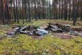 В лесах Кировской области ликвидировали 25 свалок