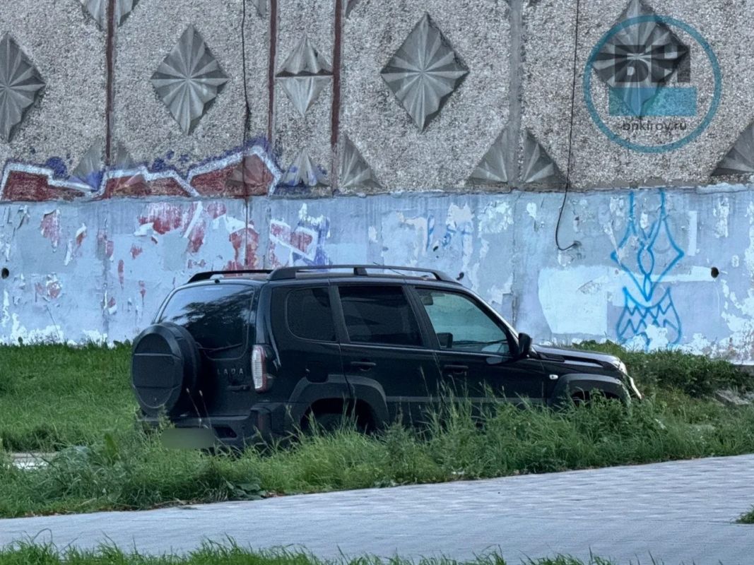 На газонах в Первомайском районе Кирова выявили 68 нарушений