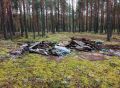 В 2026 году в Кировской области ликвидировано 25 лесных свалок, объём вывезенного мусора составил 458,8 кубических метров