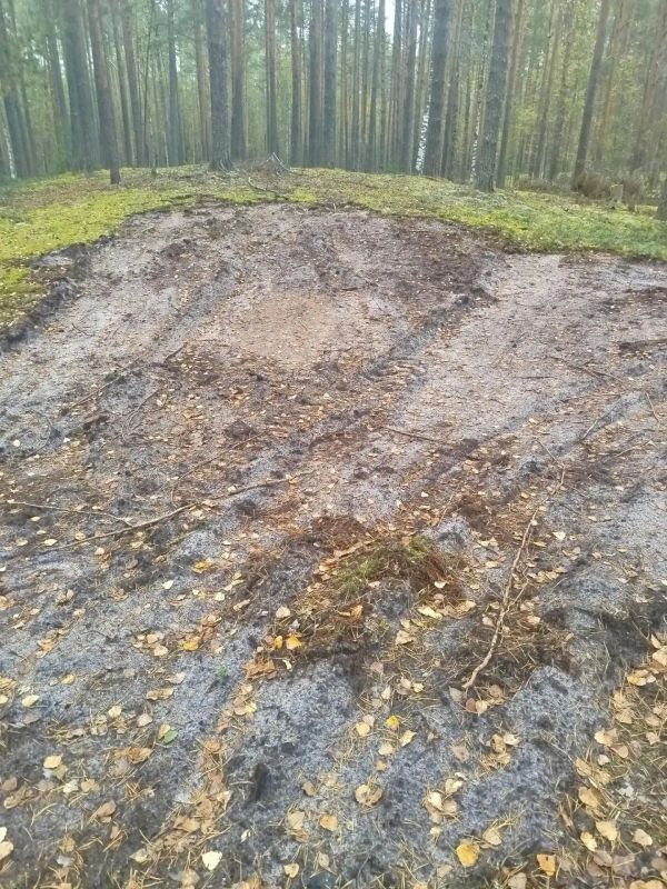 В Кировской области ликвидированы пять несанкционированных свалок на землях лесного фонда В Кировской области ликвидированы пять несанкционированных свалок на землях лесного фонда
