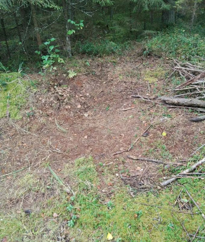 В Кировской области ликвидированы пять несанкционированных свалок на землях лесного фонда В Кировской области ликвидированы пять несанкционированных свалок на землях лесного фонда