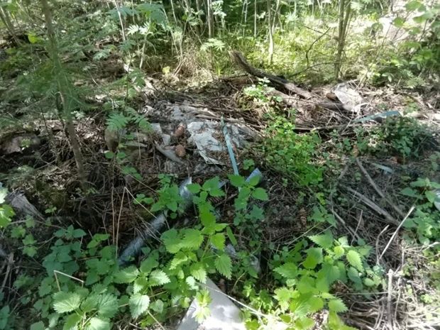 В Кировской области ликвидированы пять несанкционированных свалок на землях лесного фонда В Кировской области ликвидированы пять несанкционированных свалок на землях лесного фонда