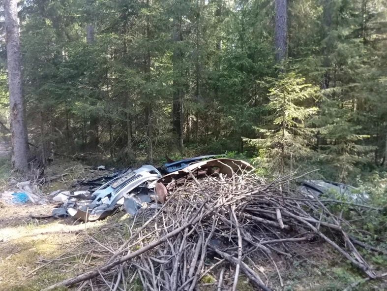 В Кировской области ликвидированы пять несанкционированных свалок на землях лесного фонда В Кировской области ликвидированы пять несанкционированных свалок на землях лесного фонда