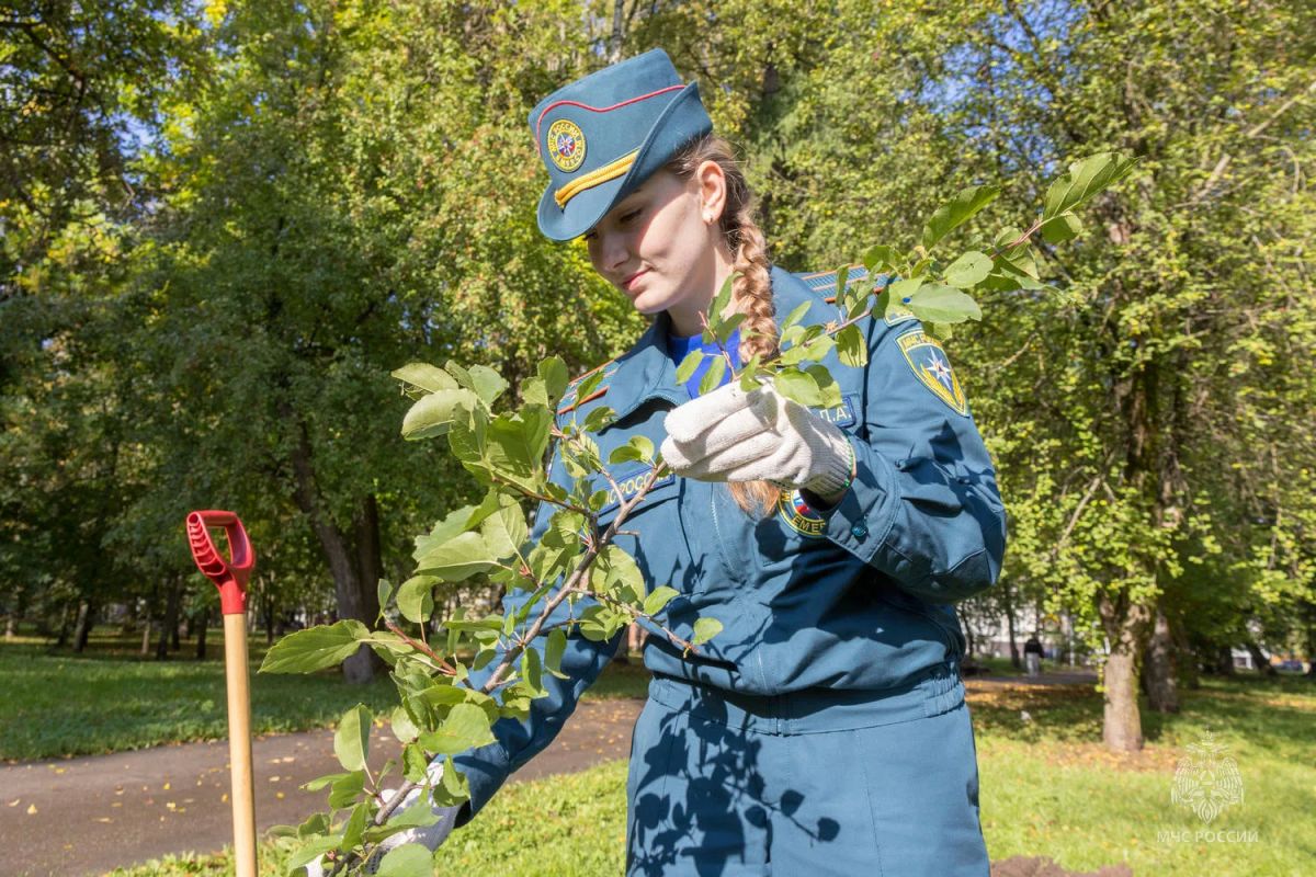 В Кирове заложена аллея в честь 100-летия государственного пожарного надзора В Кирове заложена аллея в честь 100-летия государственного пожарного надзора