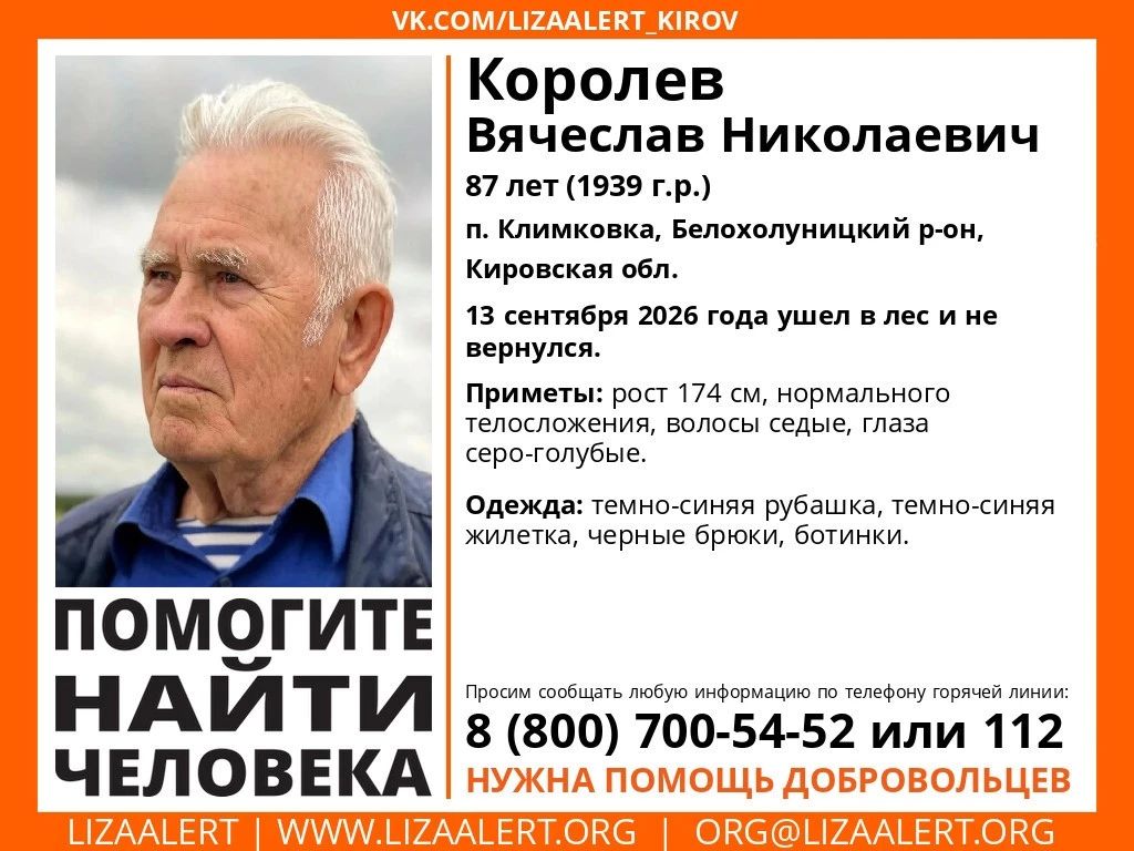 Пропавшего 87-летнего пенсионера ищут в лесах Белохолуницкого района