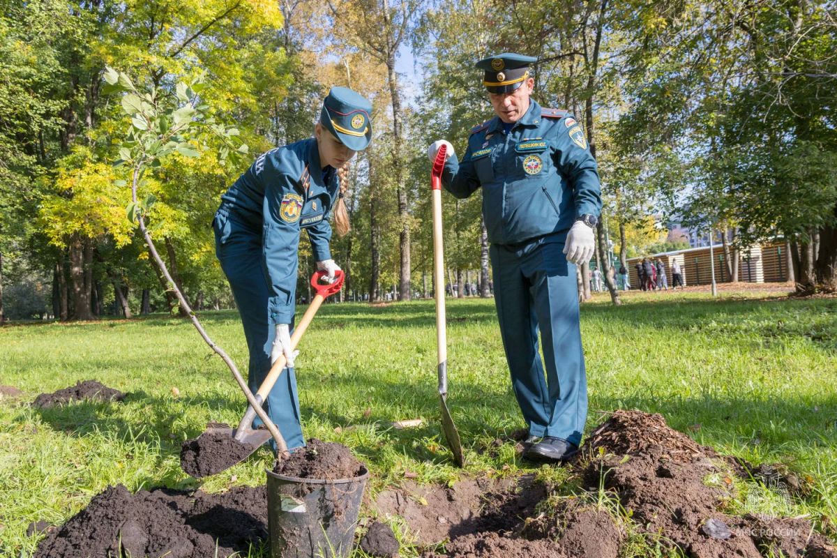 В Кирове заложена аллея в честь 100-летия государственного пожарного надзора В Кирове заложена аллея в честь 100-летия государственного пожарного надзора