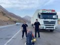 ���� ������ ������������: ���������� ��� ����� ������ ���������� �� ��������