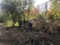Субботник? Субботник!. Если вы думали, что Минтранс – исключительно отчёты и совещания, то для вас сюрприз