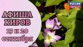 Мероприятия в Кирове 19 и 20 сентября: афиша