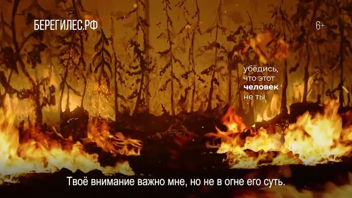 На опережение стихии: профилактика и борьба с лесными пожарами