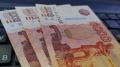 В Кирове с хозяина таксы взыскали 30 тысяч рублей за укус ребёнка