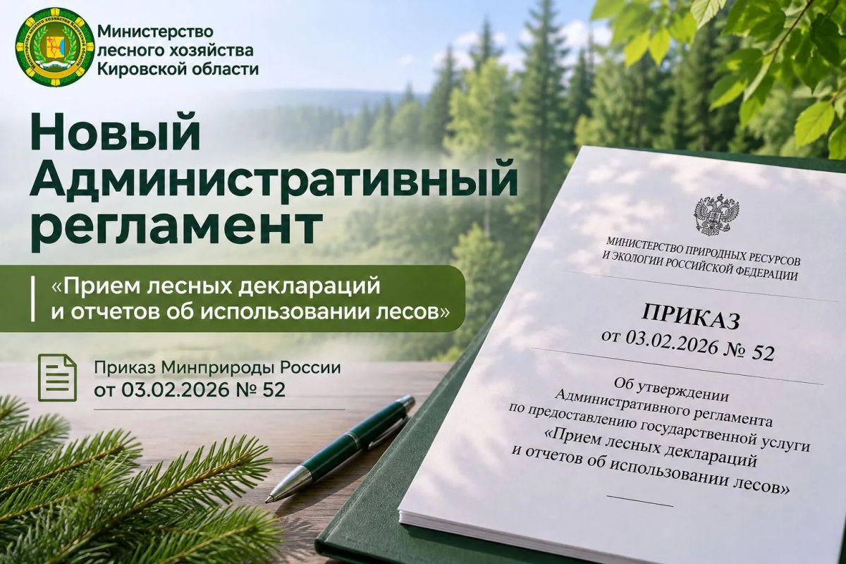 Изменился срок предоставления государственной услуги «Прием лесных деклараций и отчетов об использовании лесов»