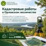 � ��������� ������� ��������� ����������� ������ ��� ����������� �������������� ������ ��������