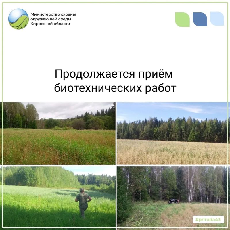 Государственным инспектором Плотниковым И.Н. проведена приемка кормовых полей в общедоступных охотничьих угодьях Афанасьевского муниципального округа