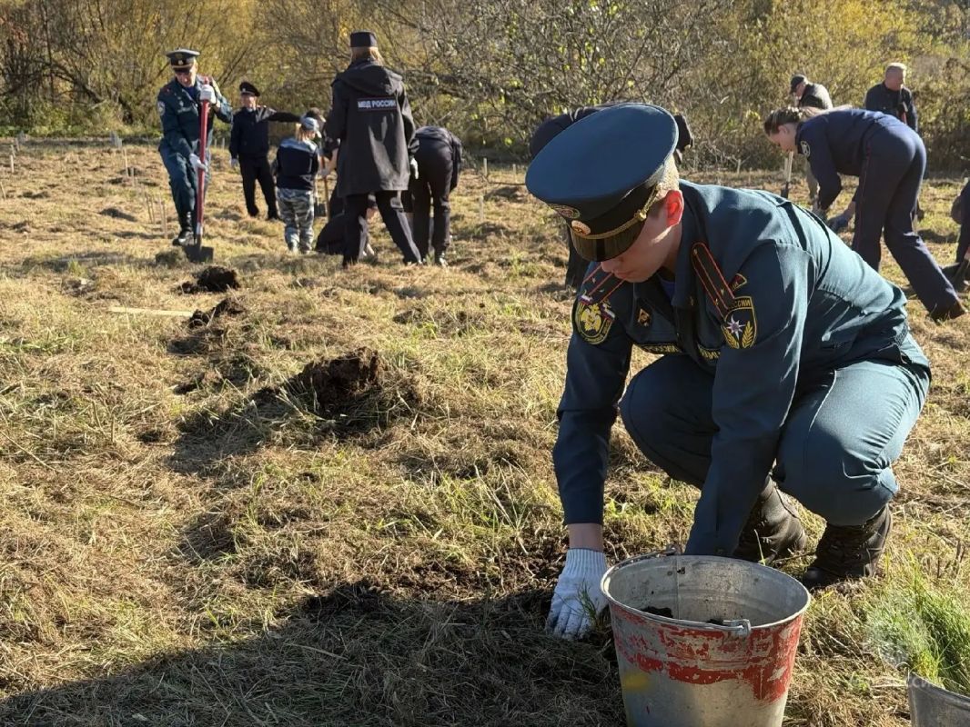 Кировские спасатели приняли участие во Всероссийской акции «Сохраним лес» Кировские спасатели приняли участие во Всероссийской акции «Сохраним лес»