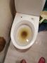 � ������ ����������� ����� ��� ������ �� ����� ��������� ������������ ������������