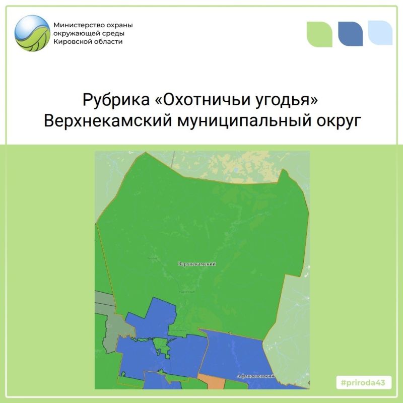 В июле на дорогах области зафиксировано 22 дорожно-транспортных происшествия, все с участием лосей В июле на дорогах области зафиксировано 22 дорожно-транспортных происшествия, все с участием лосей