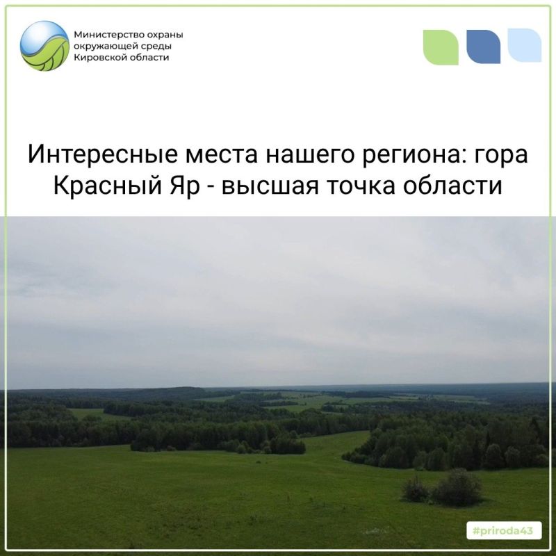 В июле на дорогах области зафиксировано 22 дорожно-транспортных происшествия, все с участием лосей В июле на дорогах области зафиксировано 22 дорожно-транспортных происшествия, все с участием лосей