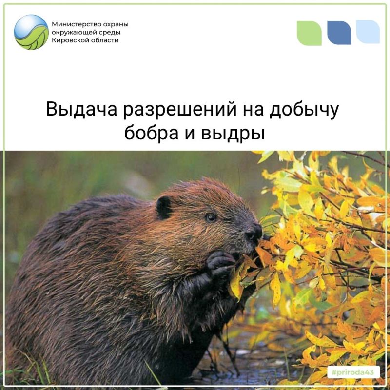 В июле на дорогах области зафиксировано 22 дорожно-транспортных происшествия, все с участием лосей В июле на дорогах области зафиксировано 22 дорожно-транспортных происшествия, все с участием лосей