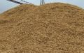 �� ��������� ������� ������� 11 ����� ���������� ����