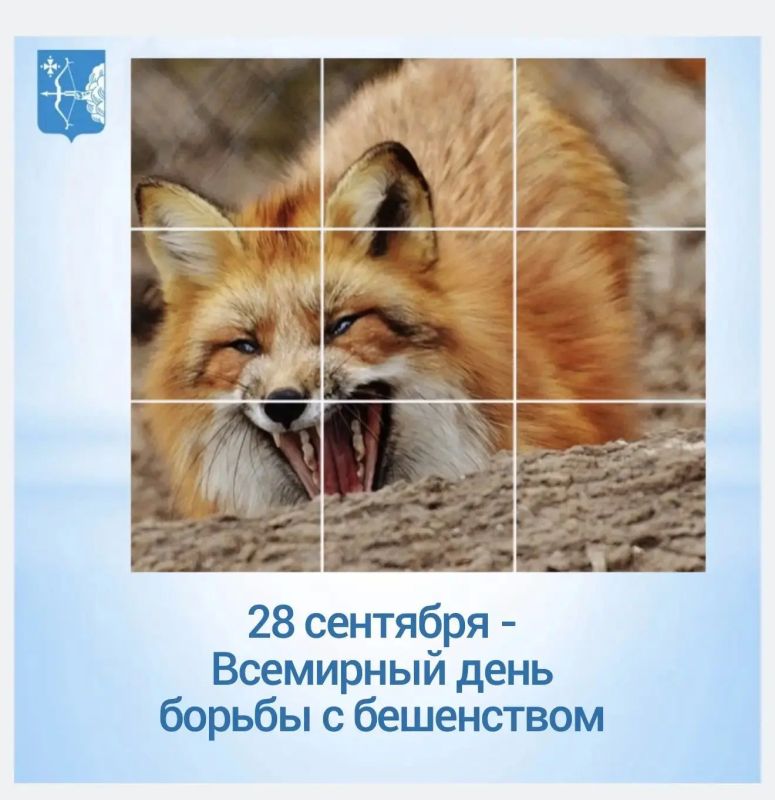 Бешенство — смертельная угроза, которую можно предотвратить!