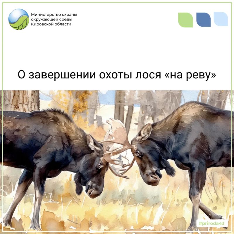 30 сентября в Кировской области завершается охота на лося «на реву»