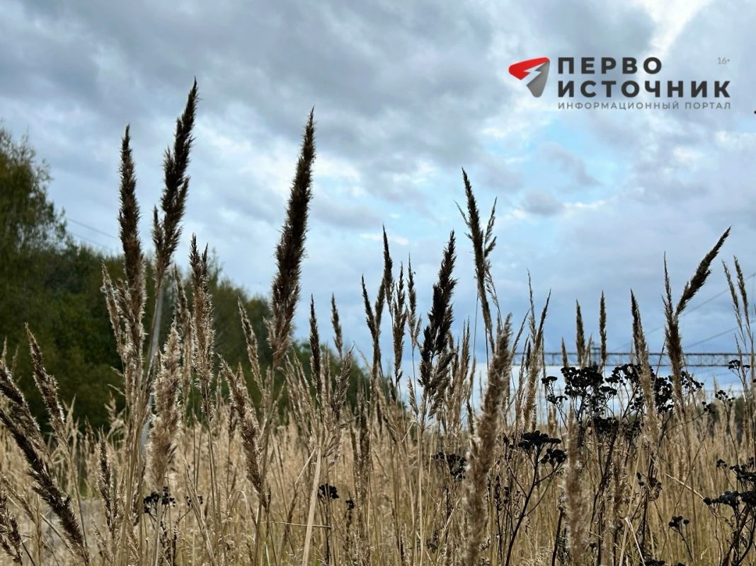После 6 октября в Кировскую область придёт тепло
