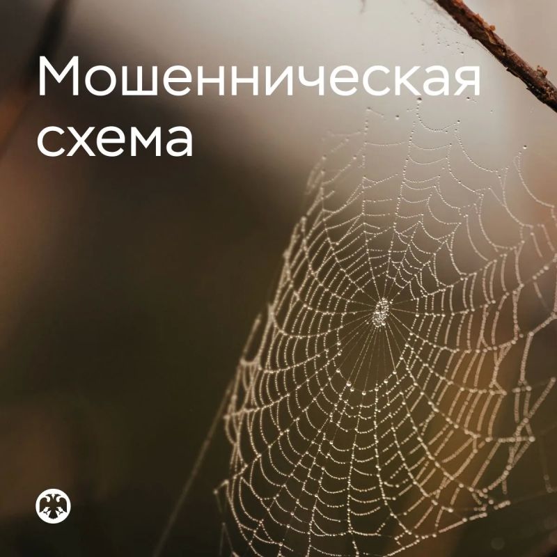 Просят перезвонить «госслужащие» – это тревожный звоночек
