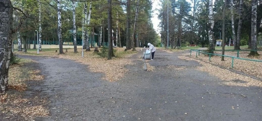 В парке ЛПК Нововятского района Кирова начнется благоустройство центральной аллеи