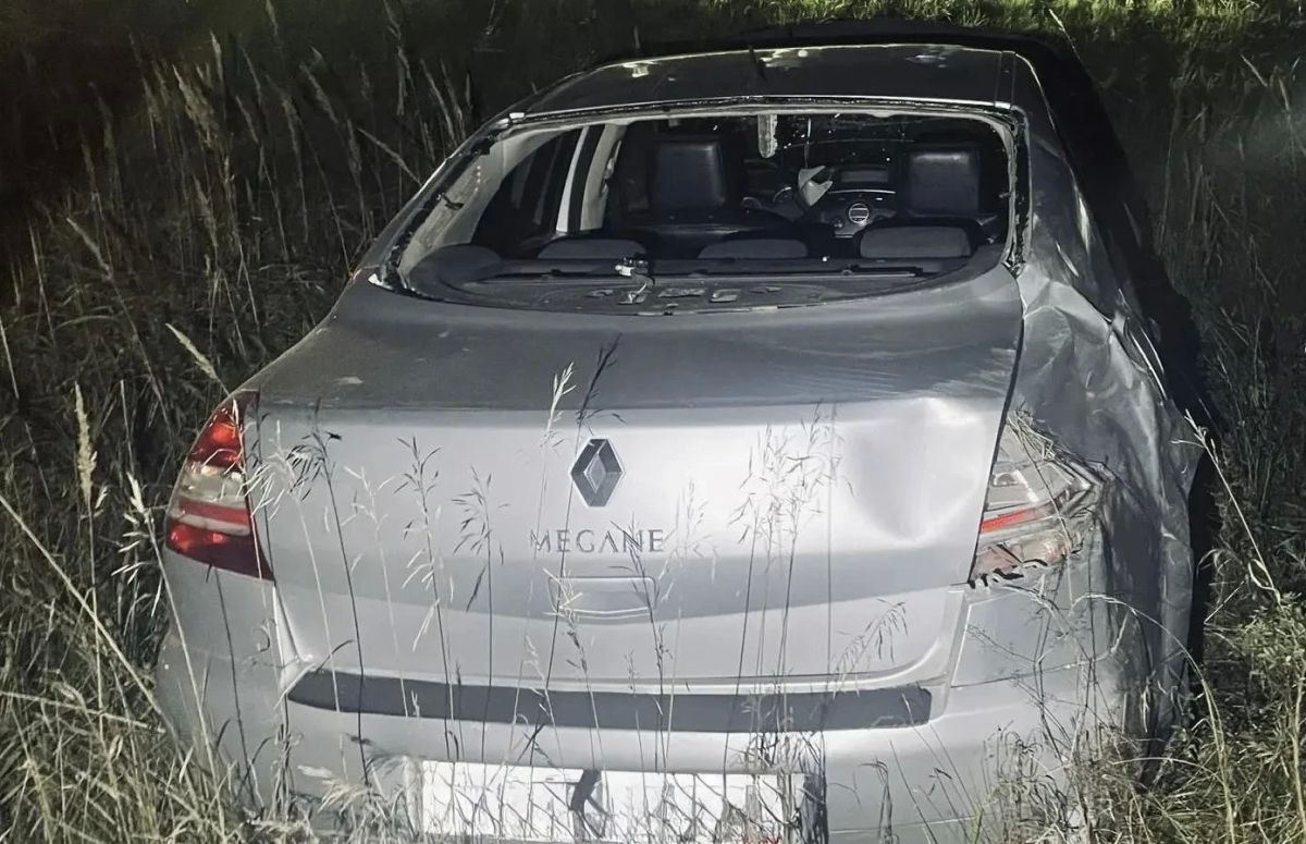 В Советском районе автомобиль совершил наезд на медведя В Советском районе автомобиль совершил наезд на медведя