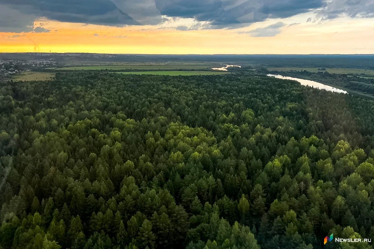 Водитель из Коми, доверившись навигатору, увяз в лесу под Котельничем