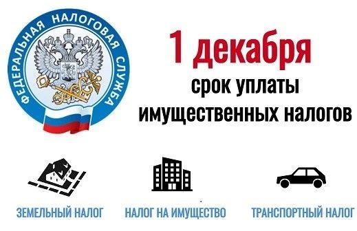 В текущем году массовая рассылка налоговых уведомлений жителям Кировской области на уплату имущественных налогов за 2025 год началась с 21 сентября