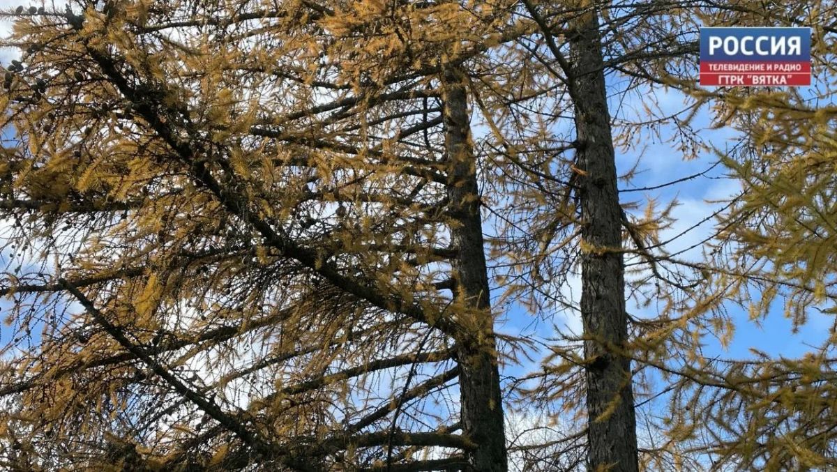 В пятницу в Кировской области ожидается переменная облачность