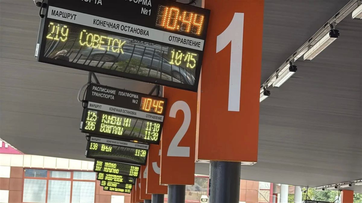 Официально заявляем: сегодня день окончания дачного сезона