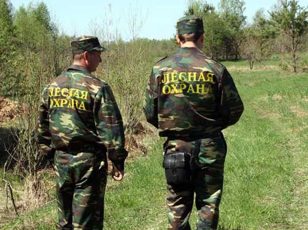 Лесничие Кировской области провели почти 19 тысяч патрулирований