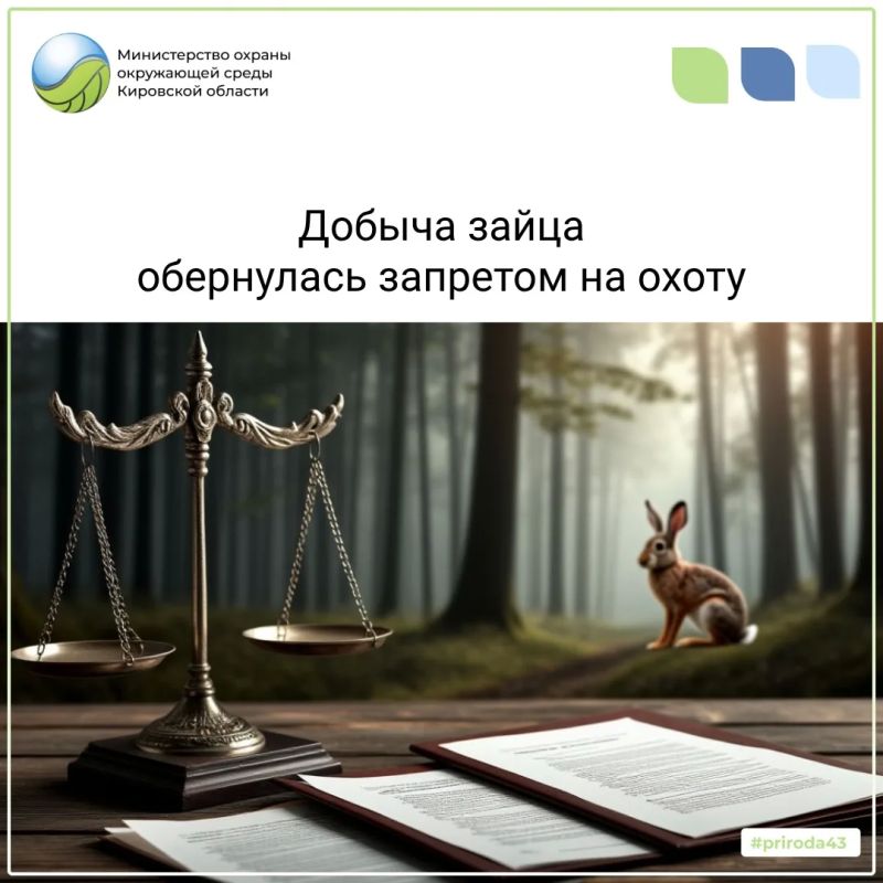 Суд наказал нарушителя: год без охоты и 3000 рублей ущерба
