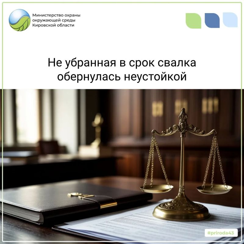 Свалку не убрали вовремя — взыскали 240 тысяч рублей