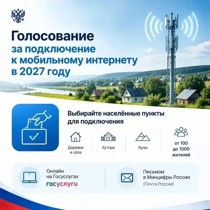 За подключение интернета можно проголосовать на Госуслугах