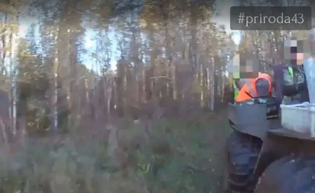 Два охотника попались на перевозке расчехлённого оружия в Юрьянском районе