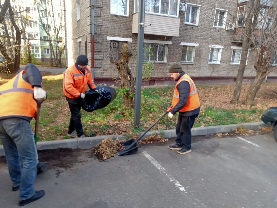 В Кирове дорожники ежедневно вывозят более 20 кубометров листьев