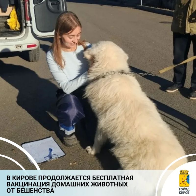 Мобильные пункты работают в частном секторе города Кирова