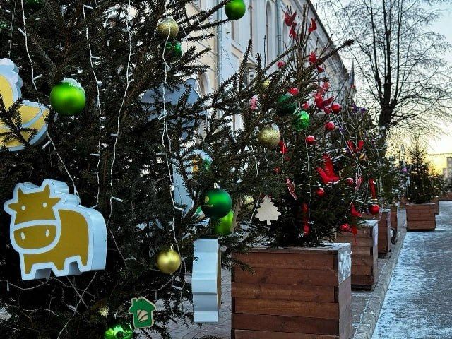 На Спасской в Кирове поставят 90 новогодних арт-елей